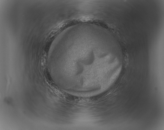 X0000076351349200610201749