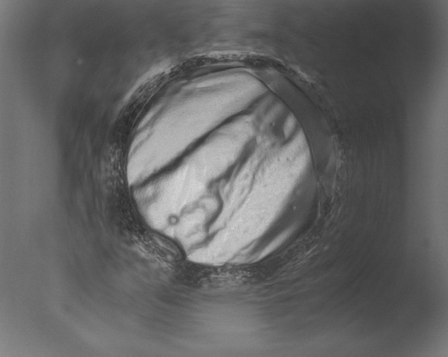 X0000076351351200610201749