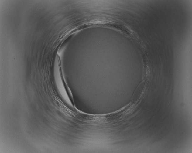 X0000076351353200610201749