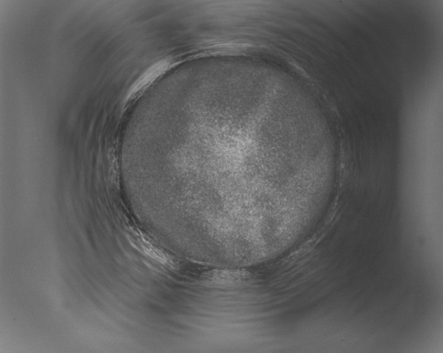 X0000076351354200610201749