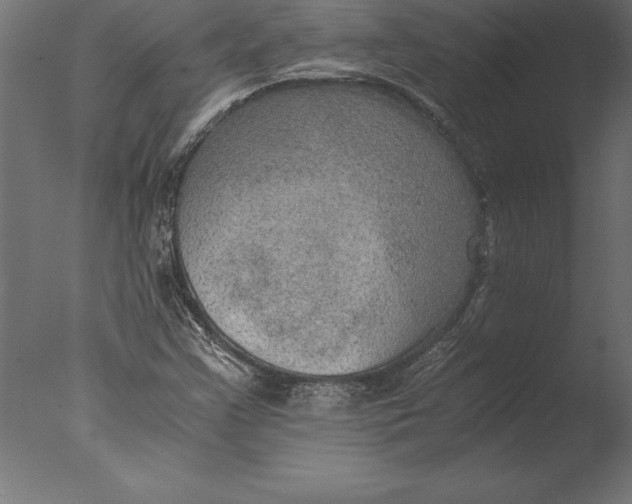 X0000076351355200610201749