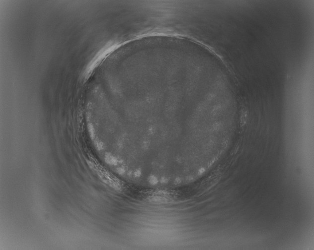 X0000076351359200610201749