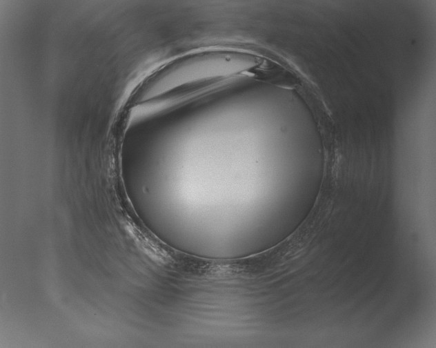 X0000076351360200610201749