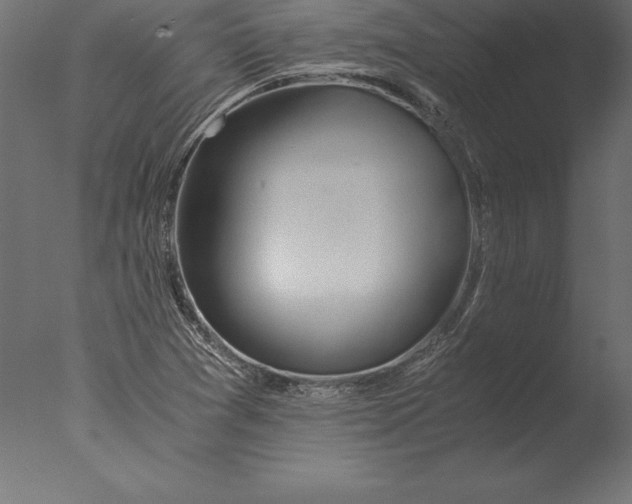 X0000076351361200610201749