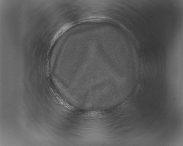 X0000076351362200610201749