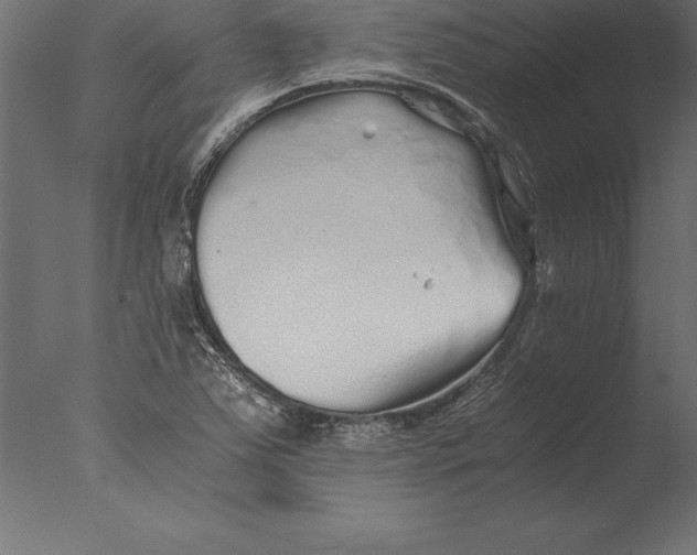 X0000076351363200610201749