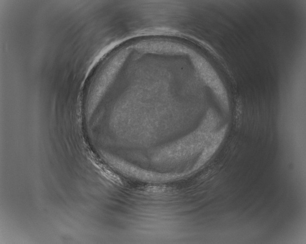 X0000076351364200610201749