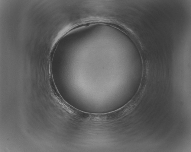 X0000076351365200610201749