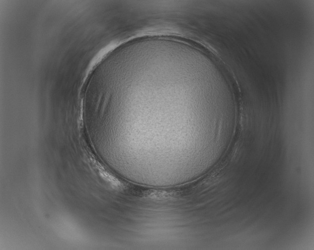 X0000076351366200610201749