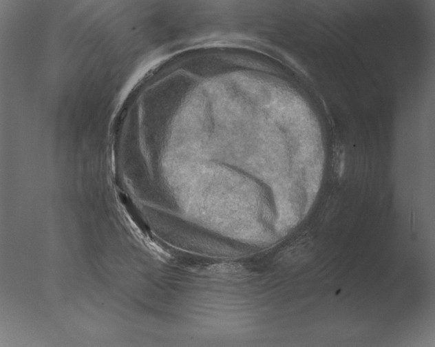 X0000076351368200610201749