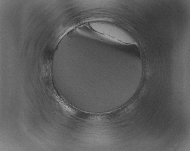 X0000076351369200610201749