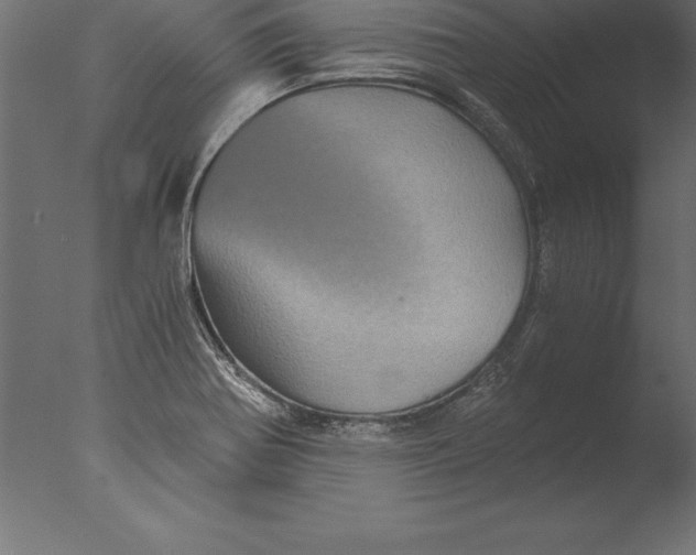 X0000076351370200610201749