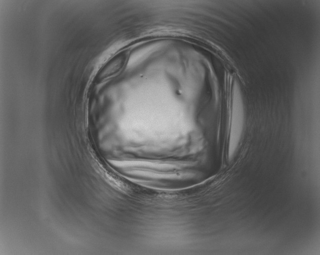 X0000076351371200610201749