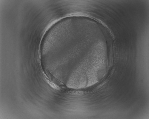 X0000076351372200610201749