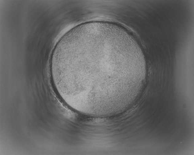 X0000076351375200610201749