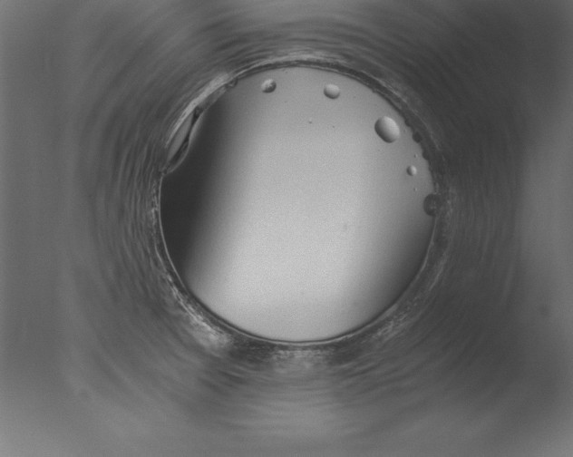 X0000076351377200610201749