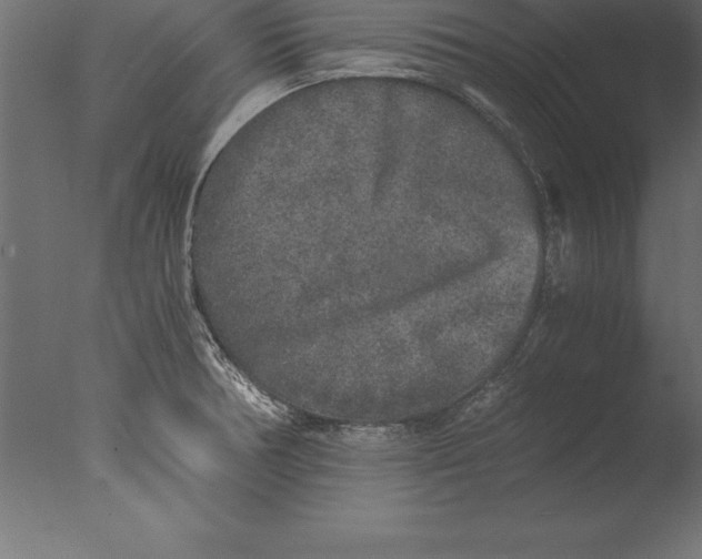 X0000076351378200610201749