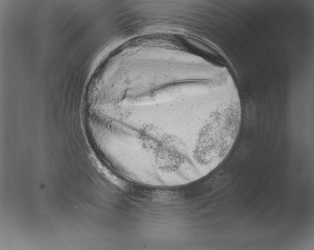 X0000076351379200610201749