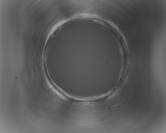 X0000076351381200610201749