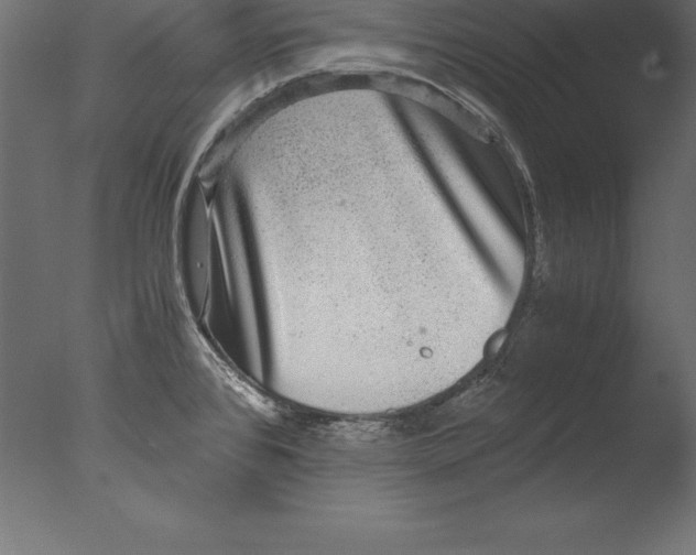 X0000076351384200610201749