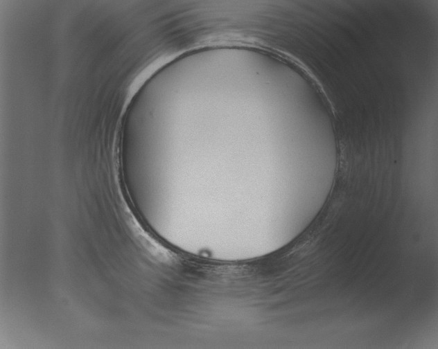 X0000076351387200610201749