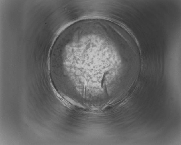 X0000076351388200610201749