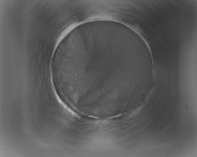 X0000076351389200610201749