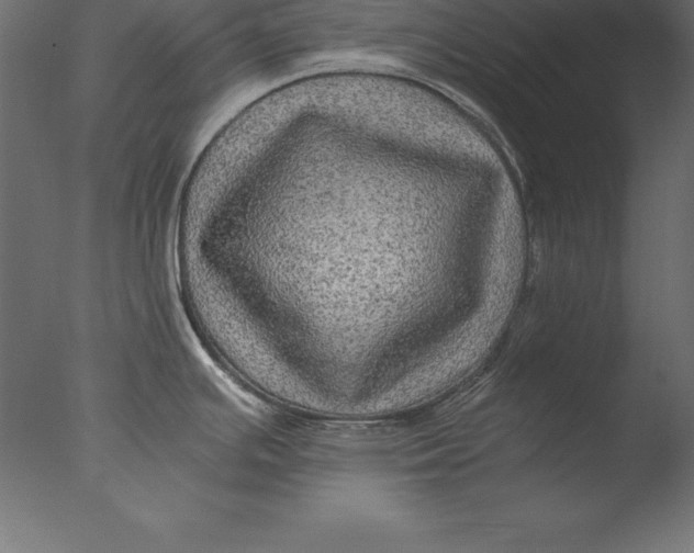 X0000076351391200610201749