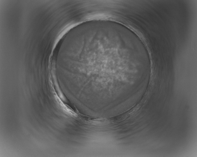 X0000076351392200610201749