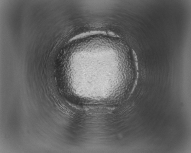 X0000076351393200610201748