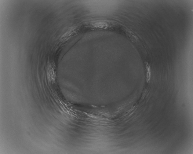 X0000076351394200610201748