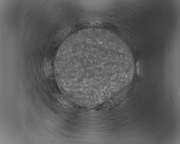 X0000076351395200610201748