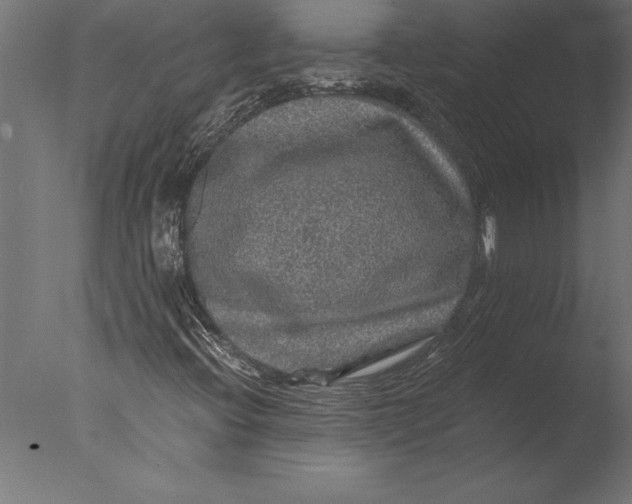 X0000076351396200610201748