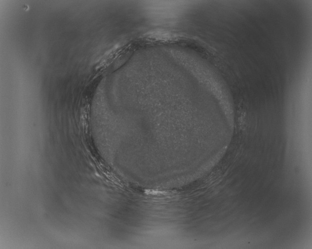 X0000076351397200610201748