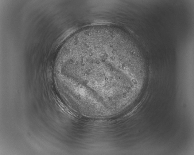 X0000076351401200610201748