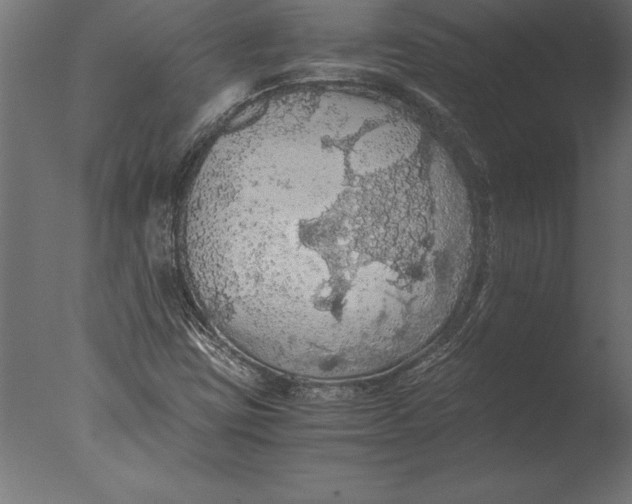 X0000076351403200610201748