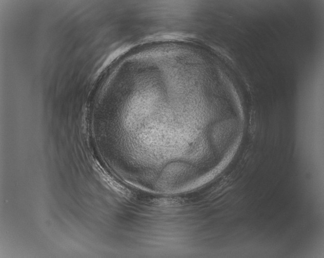 X0000076351404200610201748