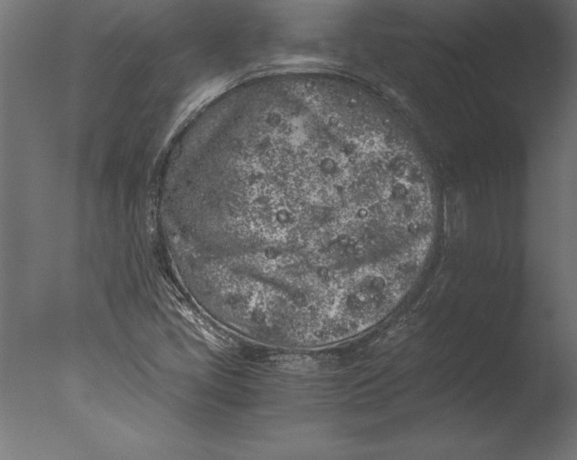 X0000076351405200610201748