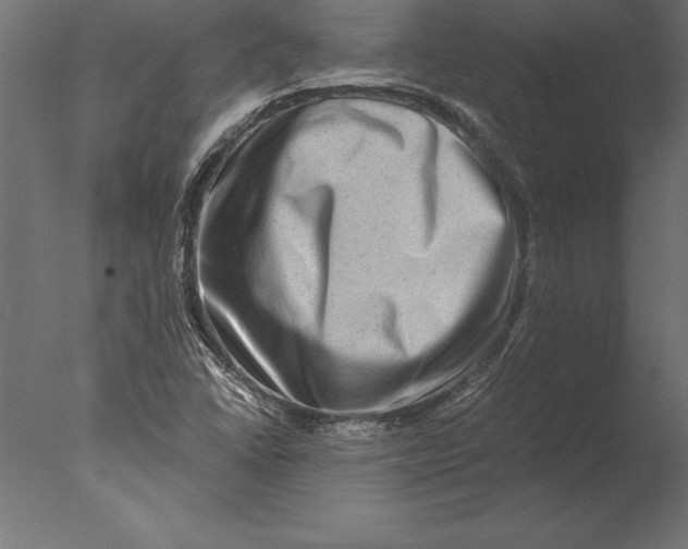 X0000076351406200610201748