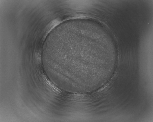 X0000076351409200610201748