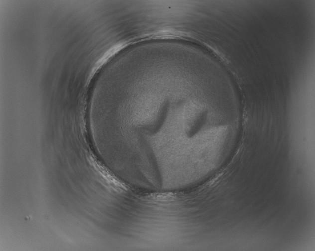 X0000076351410200610201748