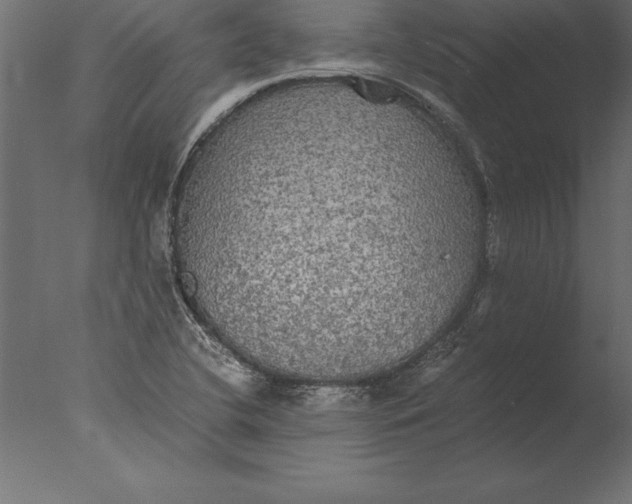 X0000076351412200610201748