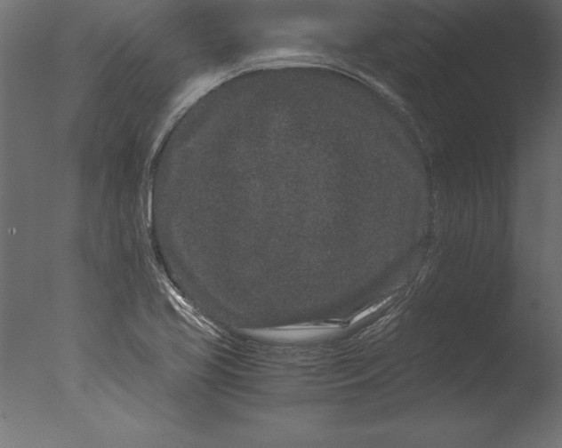 X0000076351413200610201748