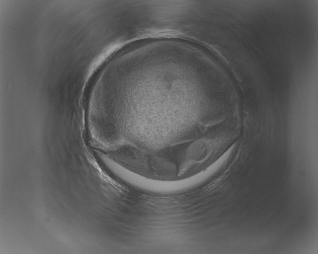 X0000076351414200610201748