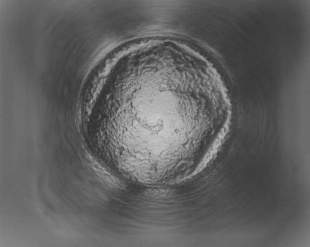 X0000076351415200610201748