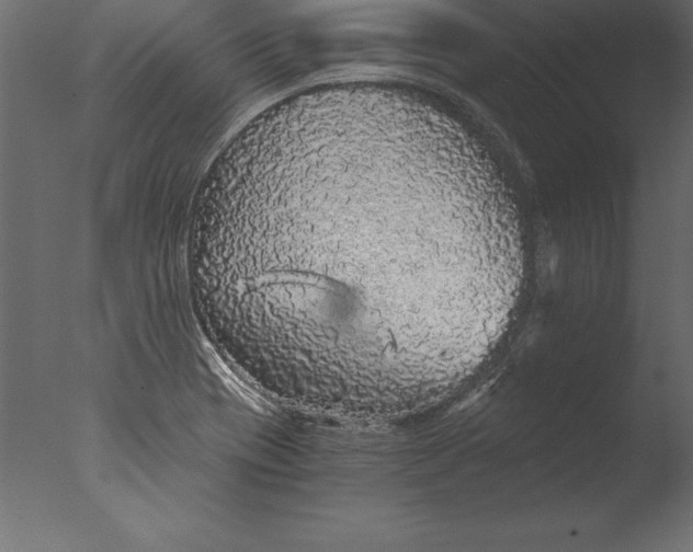 X0000076351417200610201748