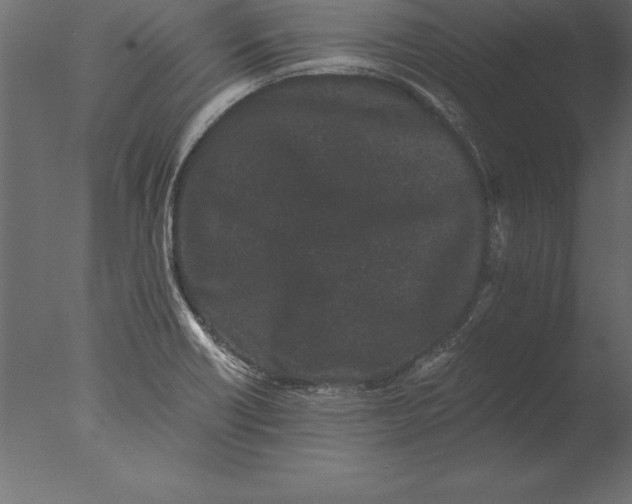 X0000076351418200610201748