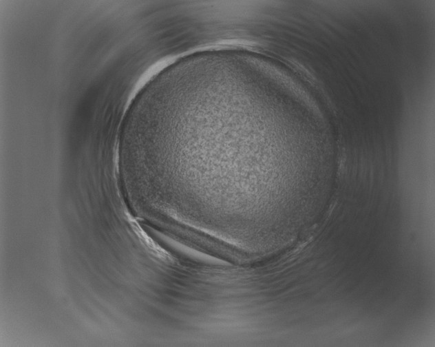 X0000076351420200610201748