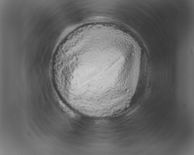 X0000076351421200610201748