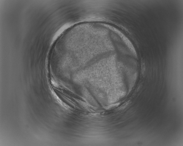 X0000076351422200610201748